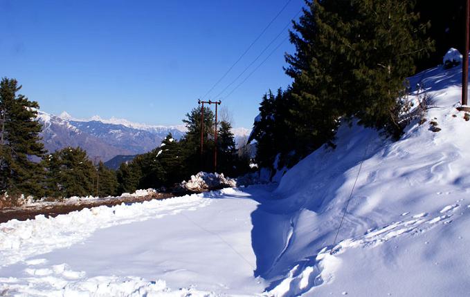 1467790324_2pat 3.jpg